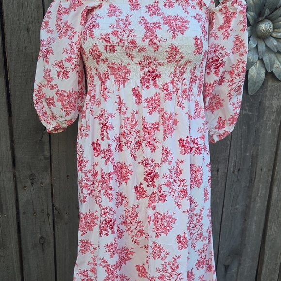 Bailey Harrison Floral Maxi Dress in Pink - Picture 6 of 9